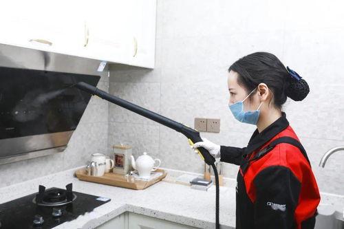 安心找家政，幸福購(gòu)生活——三替集團(tuán)上演家政年貨盛宴