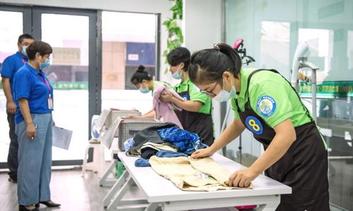 以信用機(jī)制驅(qū)動(dòng)家政服務(wù)提質(zhì)擴(kuò)容——構(gòu)建分級(jí)分類(lèi)監(jiān)管新格局